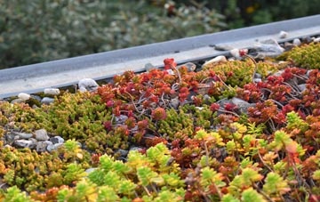 the cost of Chadderton green roof installation