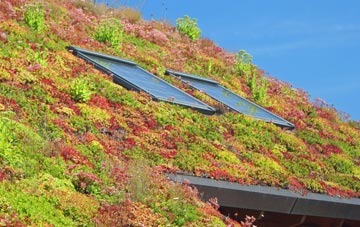 Chadderton living roof systems
